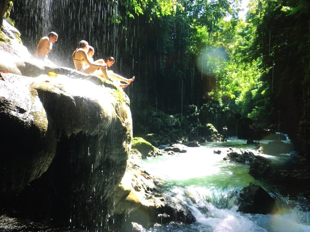 Villa Monyet Java Batukaras Buitenkant foto