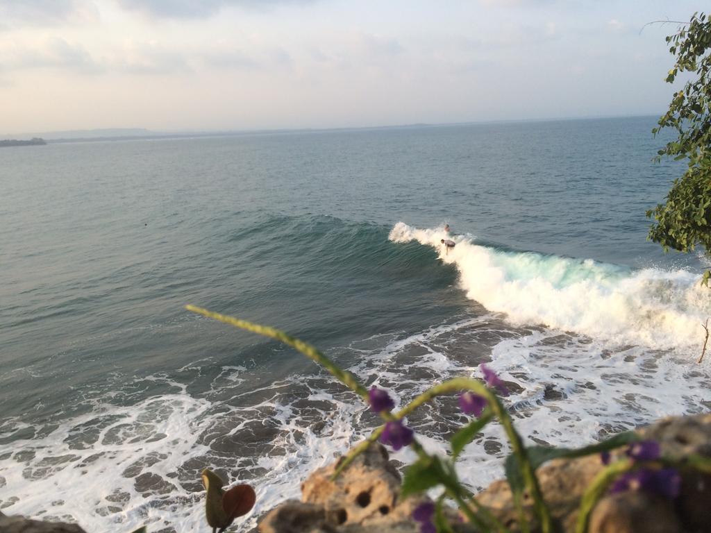 Villa Monyet Java Batukaras Buitenkant foto