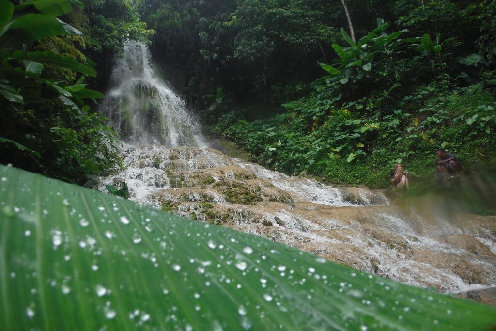 Villa Monyet Java Batukaras Buitenkant foto